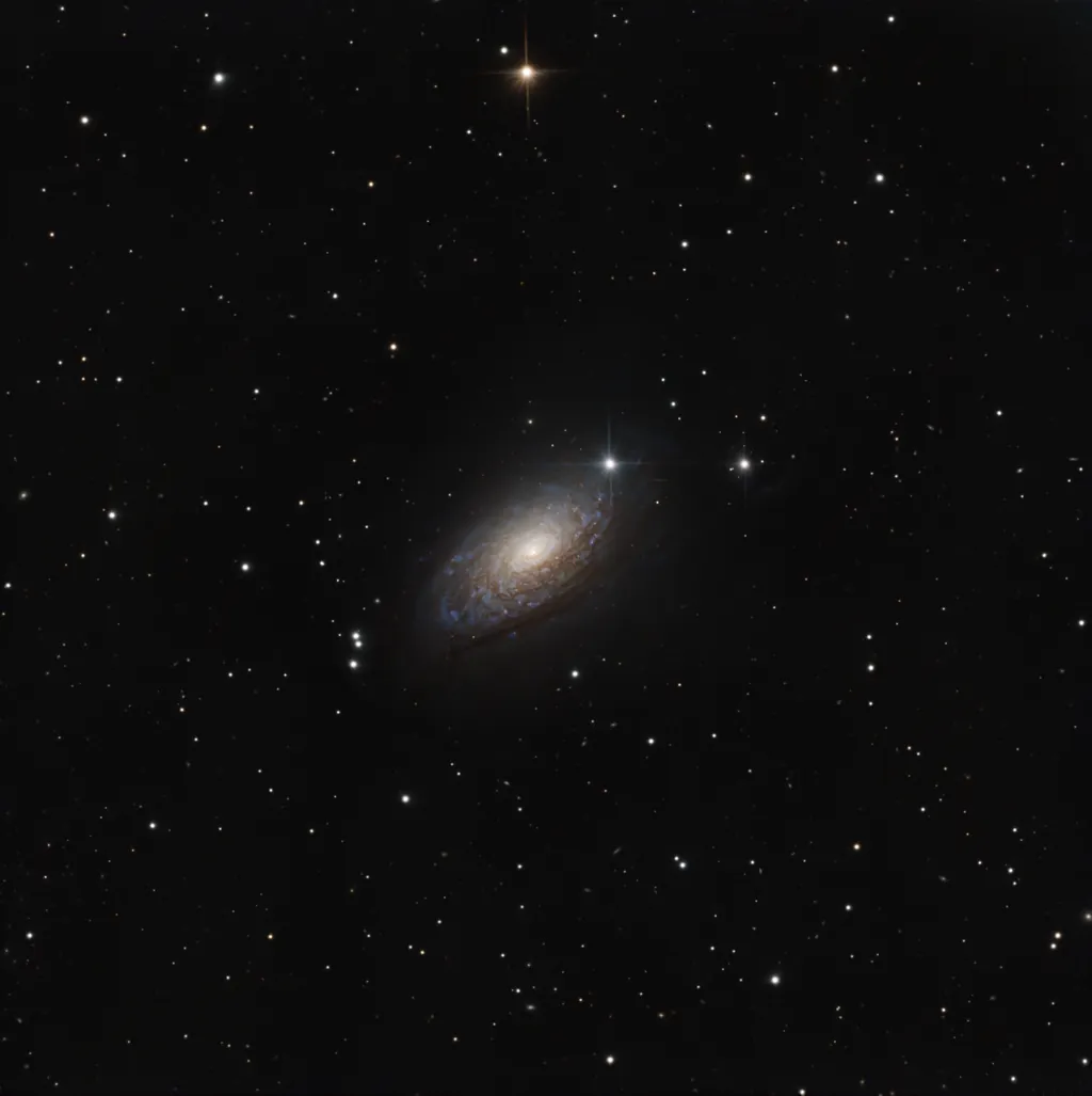 Foto della galassia M63